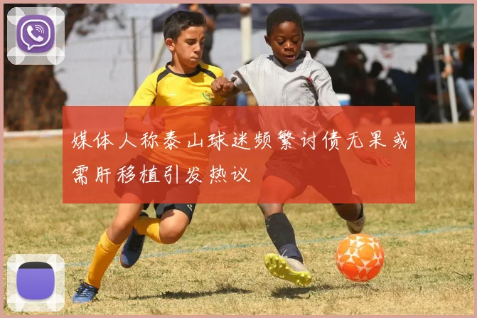 媒体人称泰山球迷频繁讨债无果或需肝移植引发热议