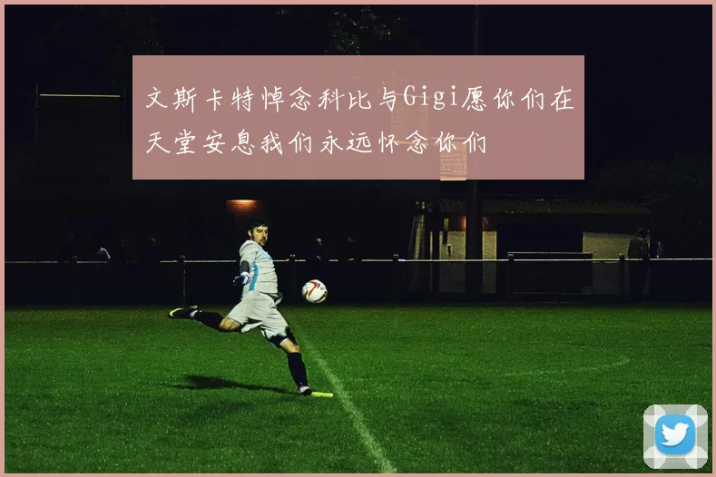 文斯卡特悼念科比与Gigi愿你们在天堂安息我们永远怀念你们
