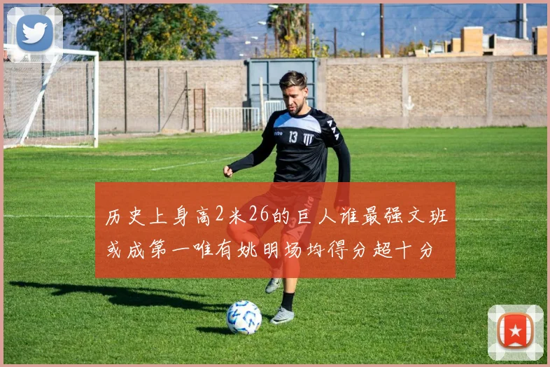 历史上身高2米26的巨人谁最强文班或成第一唯有姚明场均得分超十分